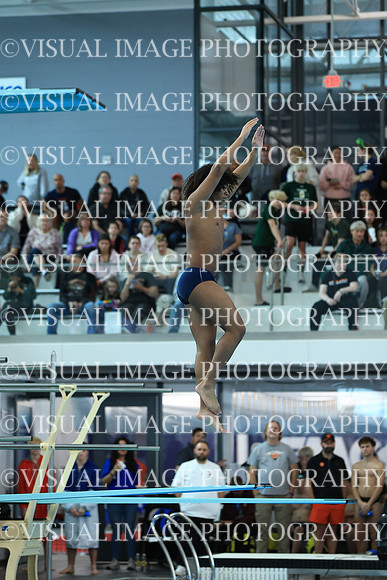 ILSW26_DIVE_F0009