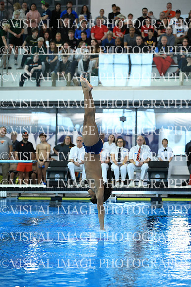 ILSW26_DIVE_F0018
