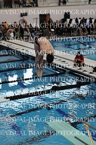 ILSW26_DIVE_F0089