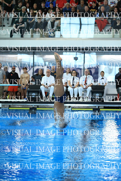 ILSW26_DIVE_F0028