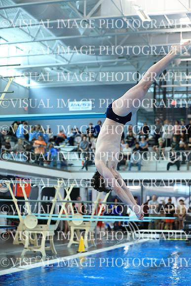 ILSW26_DIVE_F0071