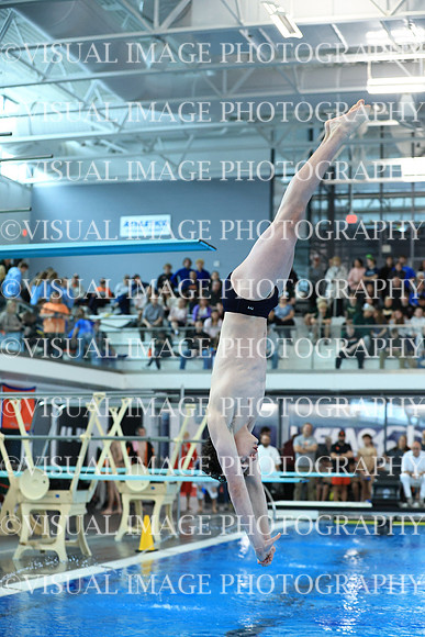 ILSW26_DIVE_F0072