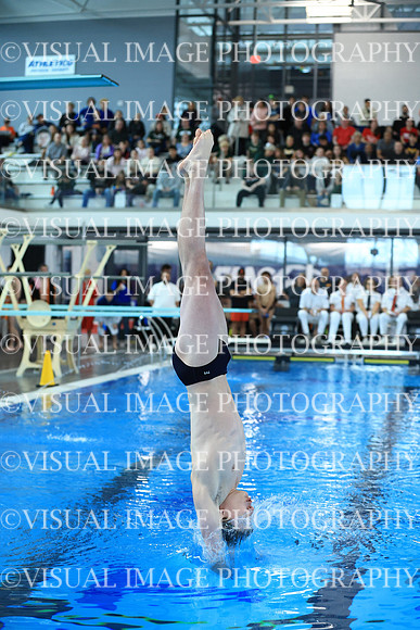 ILSW26_DIVE_F0095