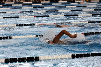 100yd Freestyle AWD