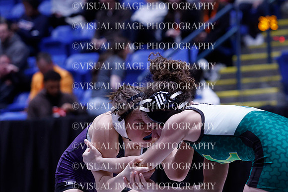 ILWRG26_115_5029