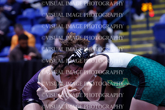 ILWRG26_115_5031