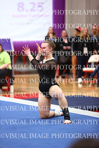 WIGYMG26_FLOOR_T0015