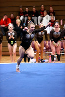 WIGYMG26_FLOOR_T0020
