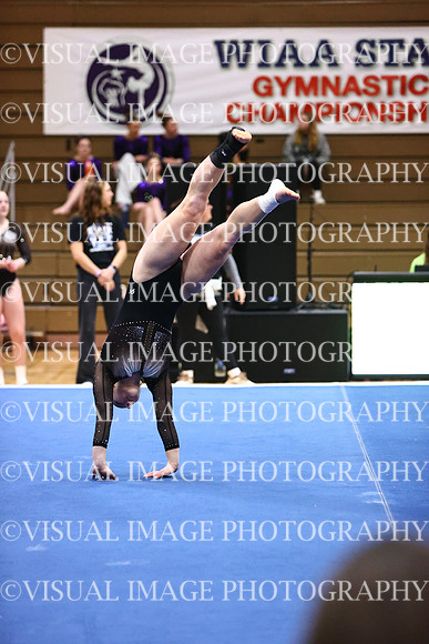 WIGYMG26_FLOOR_T0021