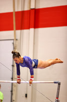 WIGYMG26_BARS_T0009