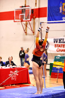 WIGYMG26_BARS_T0008