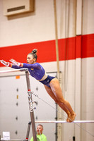 WIGYMG26_BARS_T0011