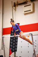 WIGYMG26_BARS_T0015