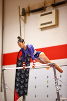 WIGYMG26_BARS_T0016