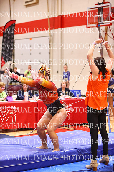 WIGYMG26_BARS_T0029