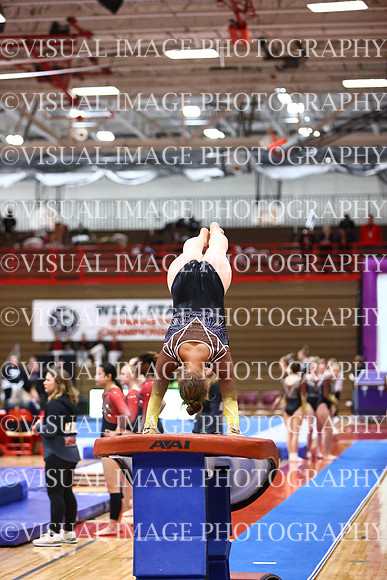 WIGYMG26_VAULT_T0002
