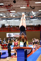 WIGYMG26_VAULT_T0003