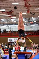WIGYMG26_VAULT_T0004