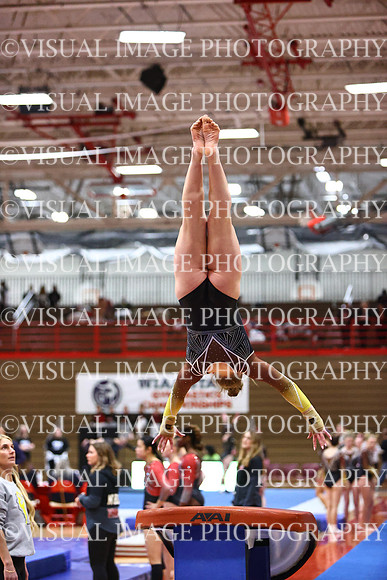 WIGYMG26_VAULT_T0004