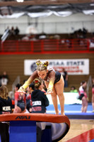 WIGYMG26_VAULT_T0005