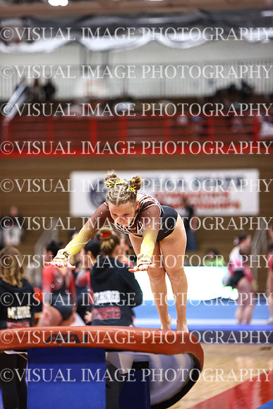 WIGYMG26_VAULT_T0005