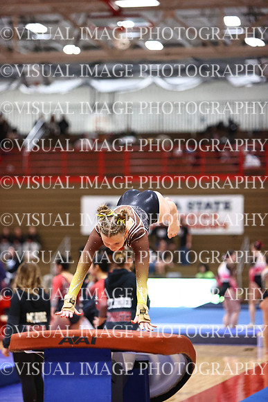WIGYMG26_VAULT_T0006