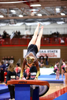 WIGYMG26_VAULT_T0007
