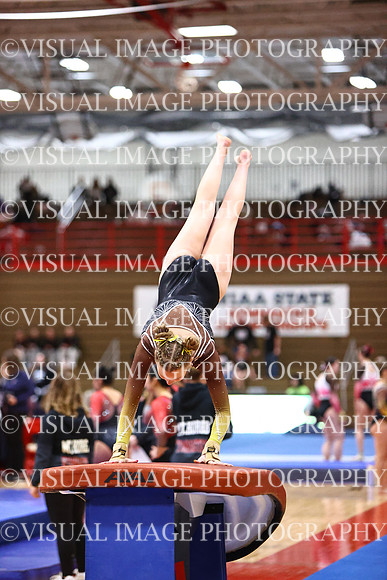 WIGYMG26_VAULT_T0007