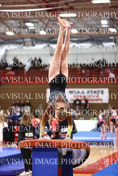 WIGYMG26_VAULT_T0008