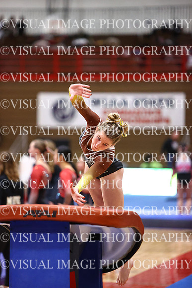 WIGYMG26_VAULT_T0010