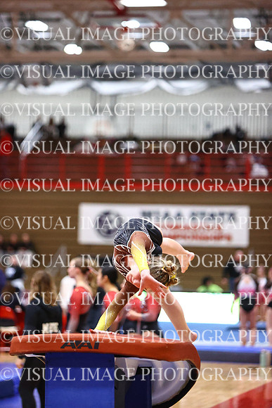 WIGYMG26_VAULT_T0011