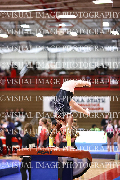 WIGYMG26_VAULT_T0012