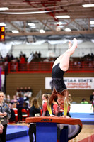 WIGYMG26_VAULT_T0013