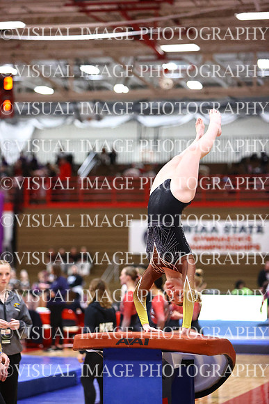WIGYMG26_VAULT_T0013