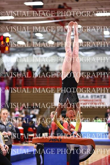 WIGYMG26_VAULT_T0014