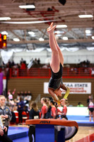 WIGYMG26_VAULT_T0015