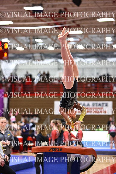 WIGYMG26_VAULT_T0015