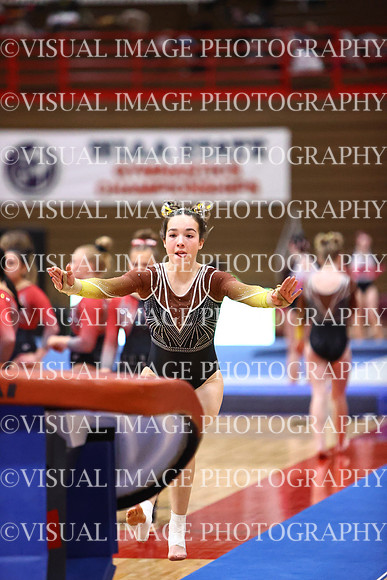 WIGYMG26_VAULT_T0016
