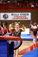 WIGYMG26_VAULT_T0017