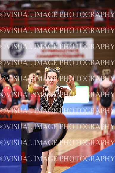 WIGYMG26_VAULT_T0017