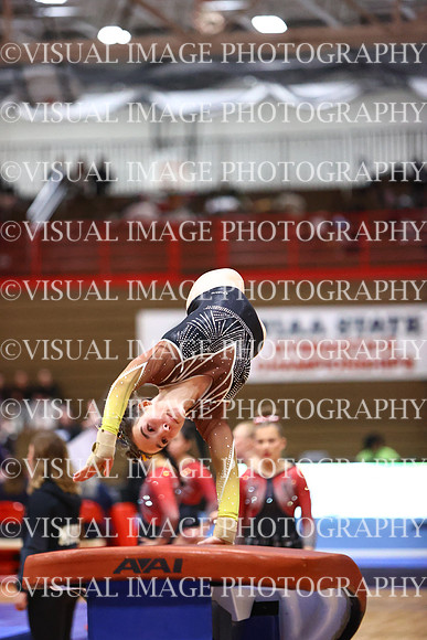 WIGYMG26_VAULT_T0019