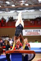 WIGYMG26_VAULT_T0020