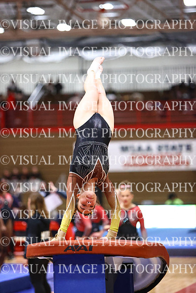 WIGYMG26_VAULT_T0020