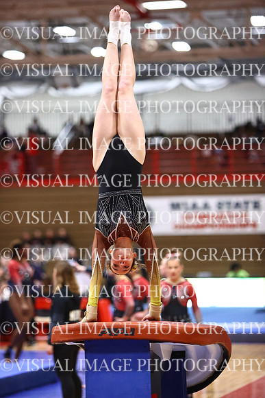 WIGYMG26_VAULT_T0021