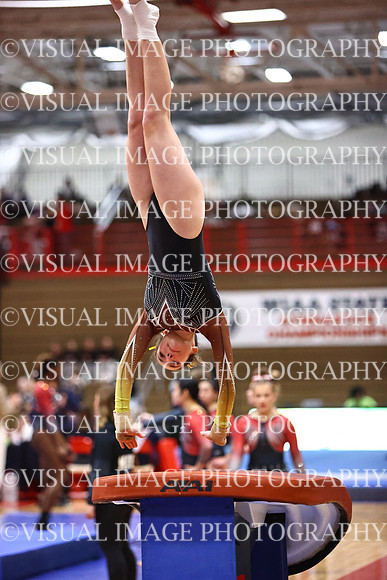 WIGYMG26_VAULT_T0022
