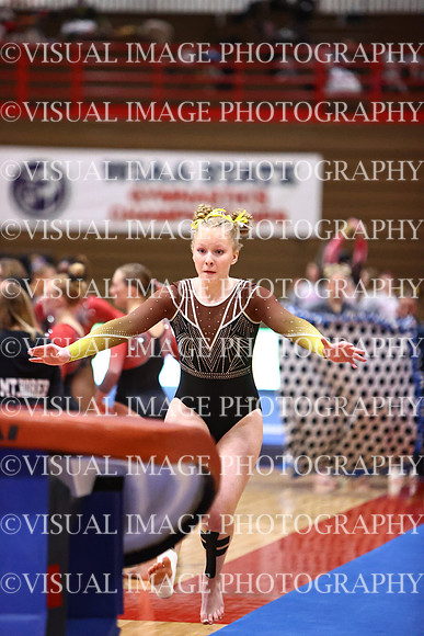 WIGYMG26_VAULT_T0023