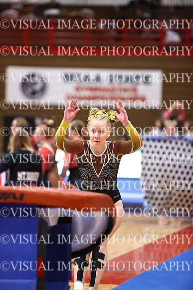 WIGYMG26_VAULT_T0024