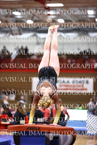 WIGYMG26_VAULT_T0026