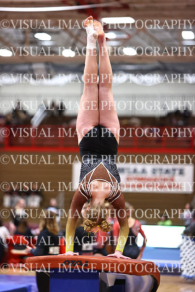 WIGYMG26_VAULT_T0027