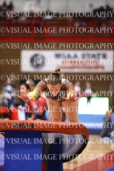WIGYMG26_VAULT_T0032
